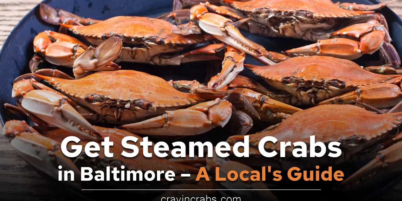 Best Places to Get Steamed Crabs in Baltimore – A Local’s Guide