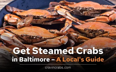 Best Places to Get Steamed Crabs in Baltimore – A Local’s Guide