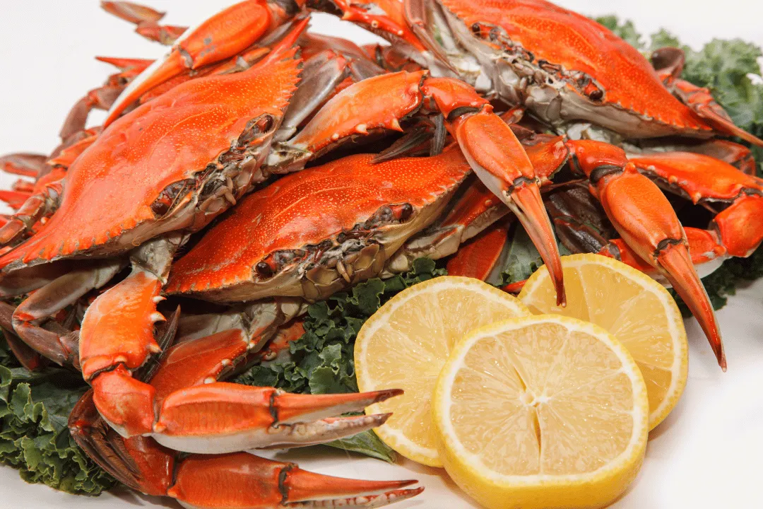 Best Steamed Crabs in Baltimore Authentic Seafood at Home