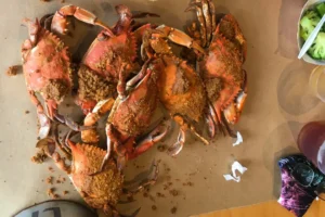 Baltimore's Steamed Crab Season