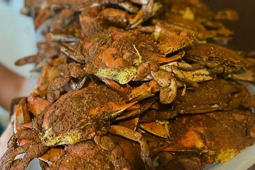 Crab Pricing in Baltimore How to Score the Best Value