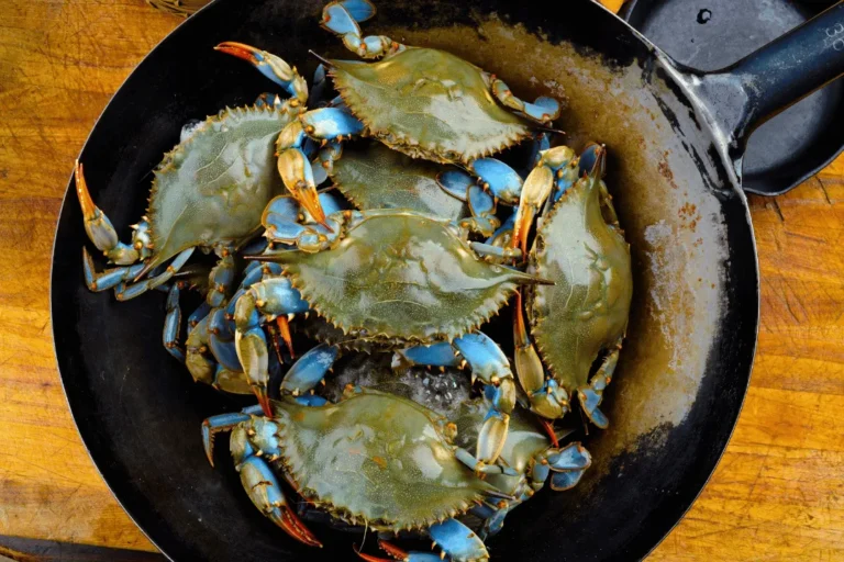 When Is Blue Crab Season in Baltimore