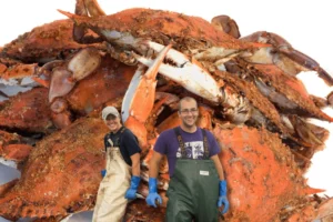 The Secret Behind the Best Steamed Crabs