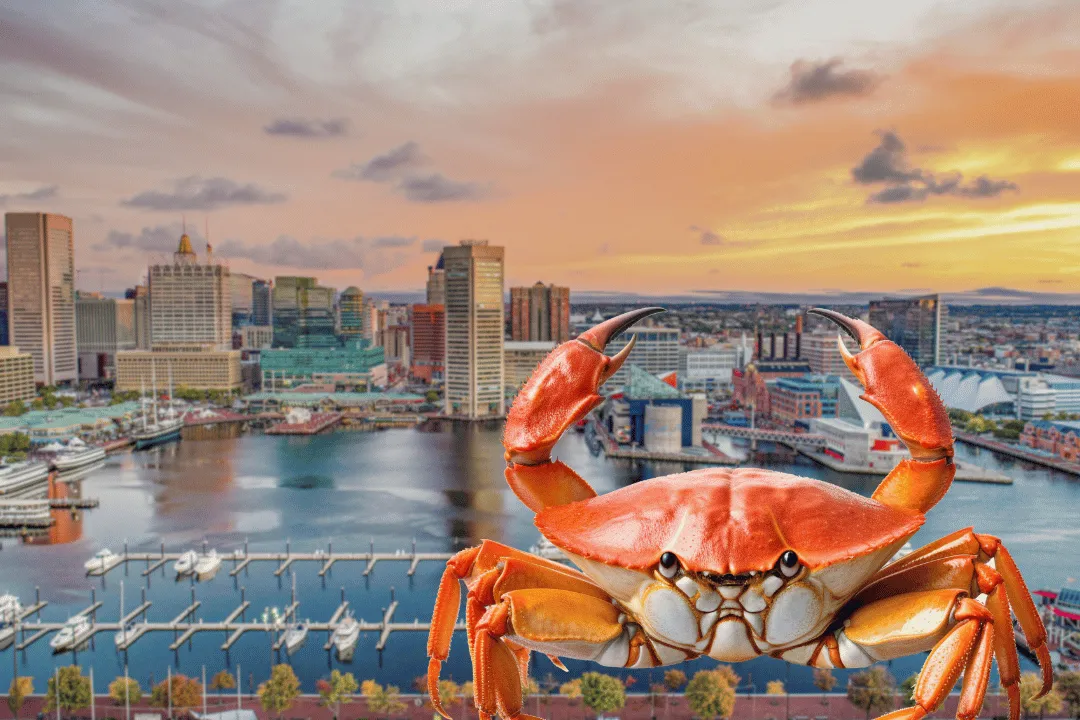 Baltimore Is Famous for Steamed Crabs