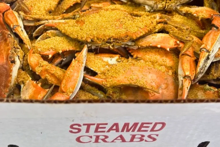 Steamed Crabs in Maryland What to Expect