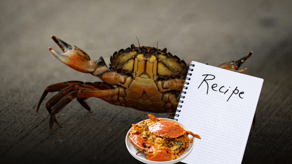 Allergy-Aware Crab Cooking Guide for Seafood Lovers