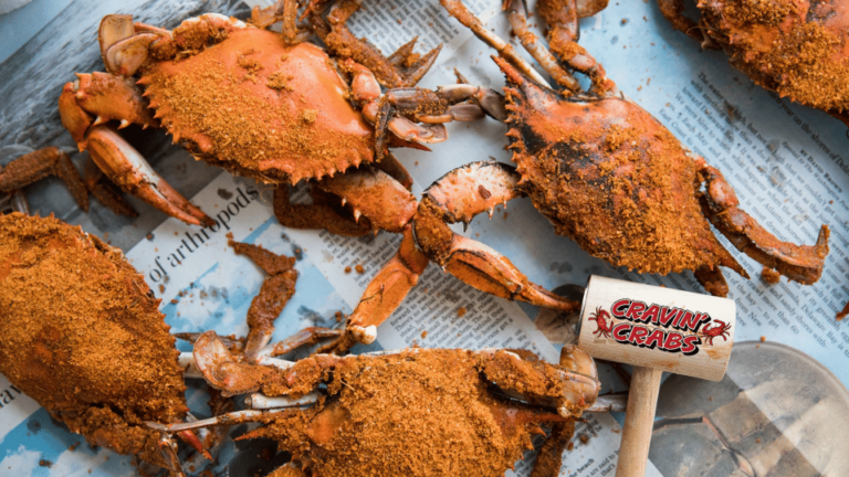 Maryland Large Male Crabs Taste of the Chesapeake in Baltimore