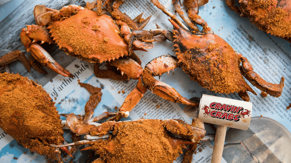 Maryland Large Male Crabs Taste of the Chesapeake in Baltimore