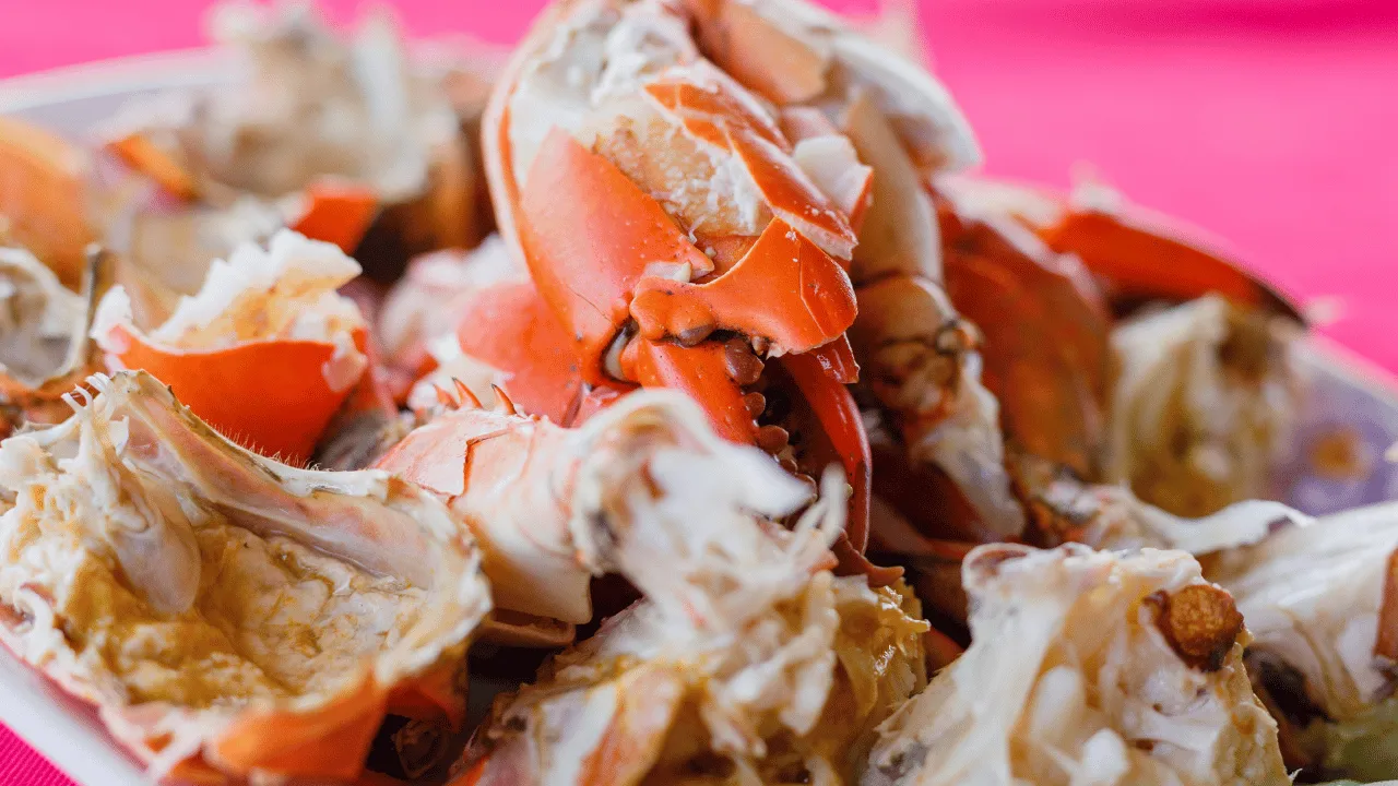 Open New Year’s Eve Get Fresh Steamed Crabs in Baltimore