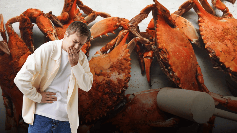 Why Freshly Steamed Crabs Are Easier to Digest