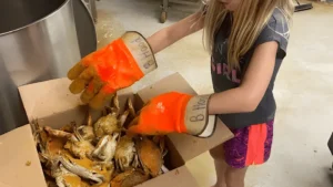 Holiday Steamed Crabs in Baltimore Make Every Celebration Better