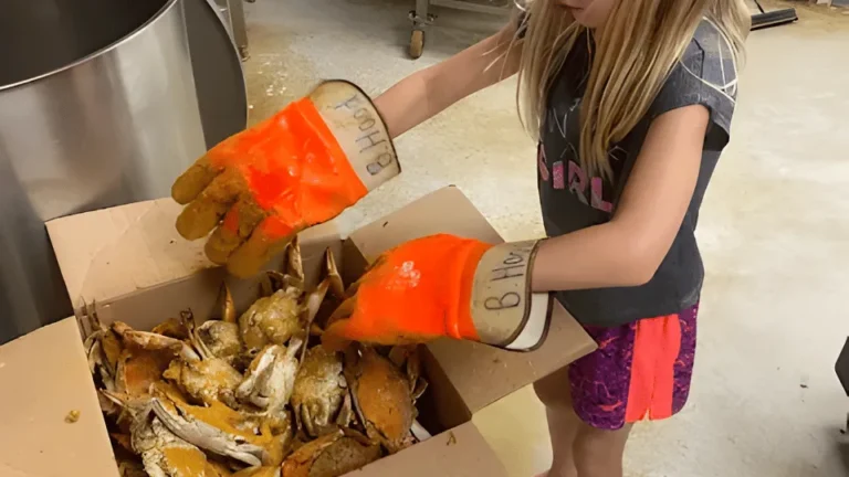 Holiday Steamed Crabs in Baltimore Make Every Celebration Better