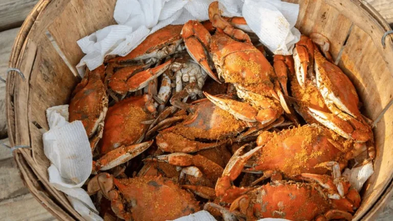 Steamed Crabs in Baltimore For Parties, Events, and Weekend Crab Feasts