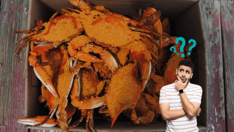Crab Myths vs Facts What People Get