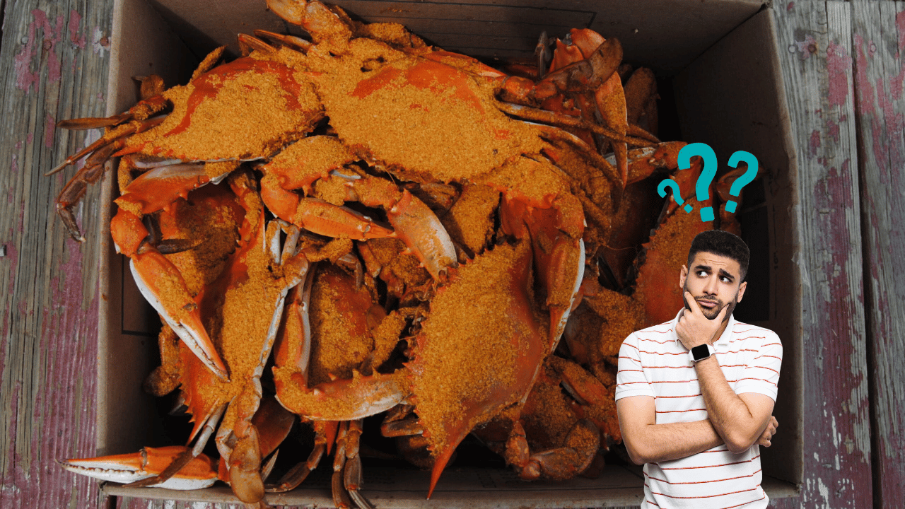 Crab Myths vs Facts What People Get