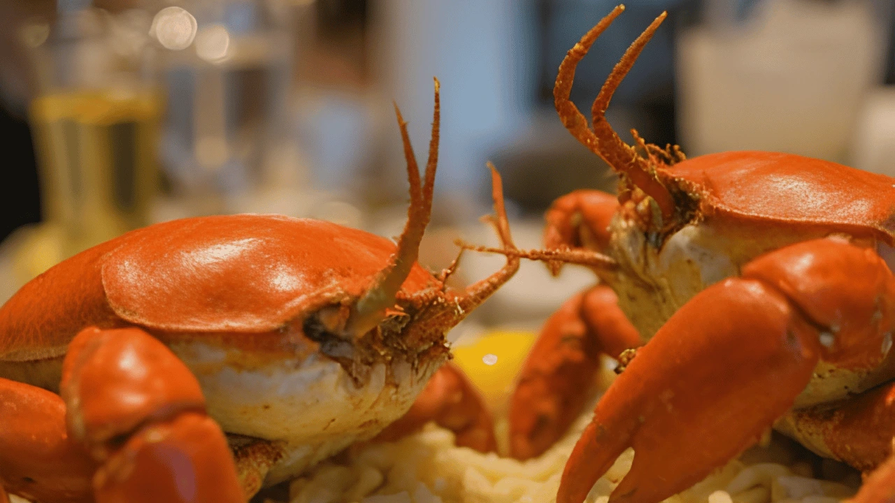 Are Crabs Always Expensive? Budget Seafood Myths