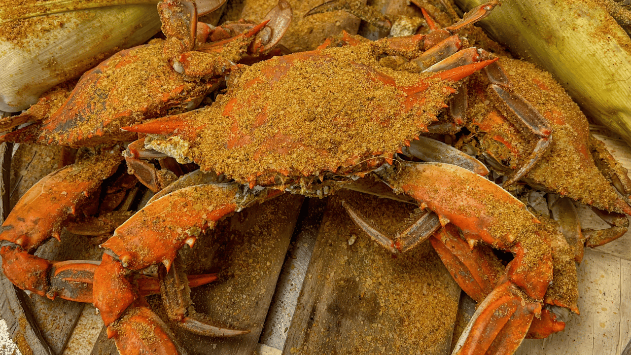 Are Male Crabs Always Better Than Females? Truth Explained