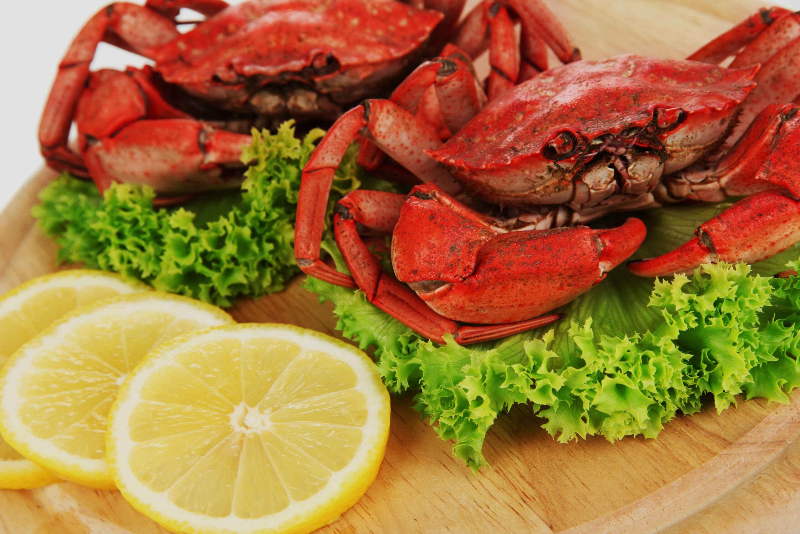 Fresh Lemonade and Maryland Steamed Crabs A Classic Summer Seafood Pairing