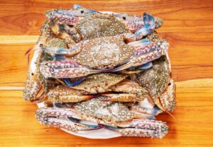 Seasonal Changes That Affect the Taste of Maryland Blue Crabs