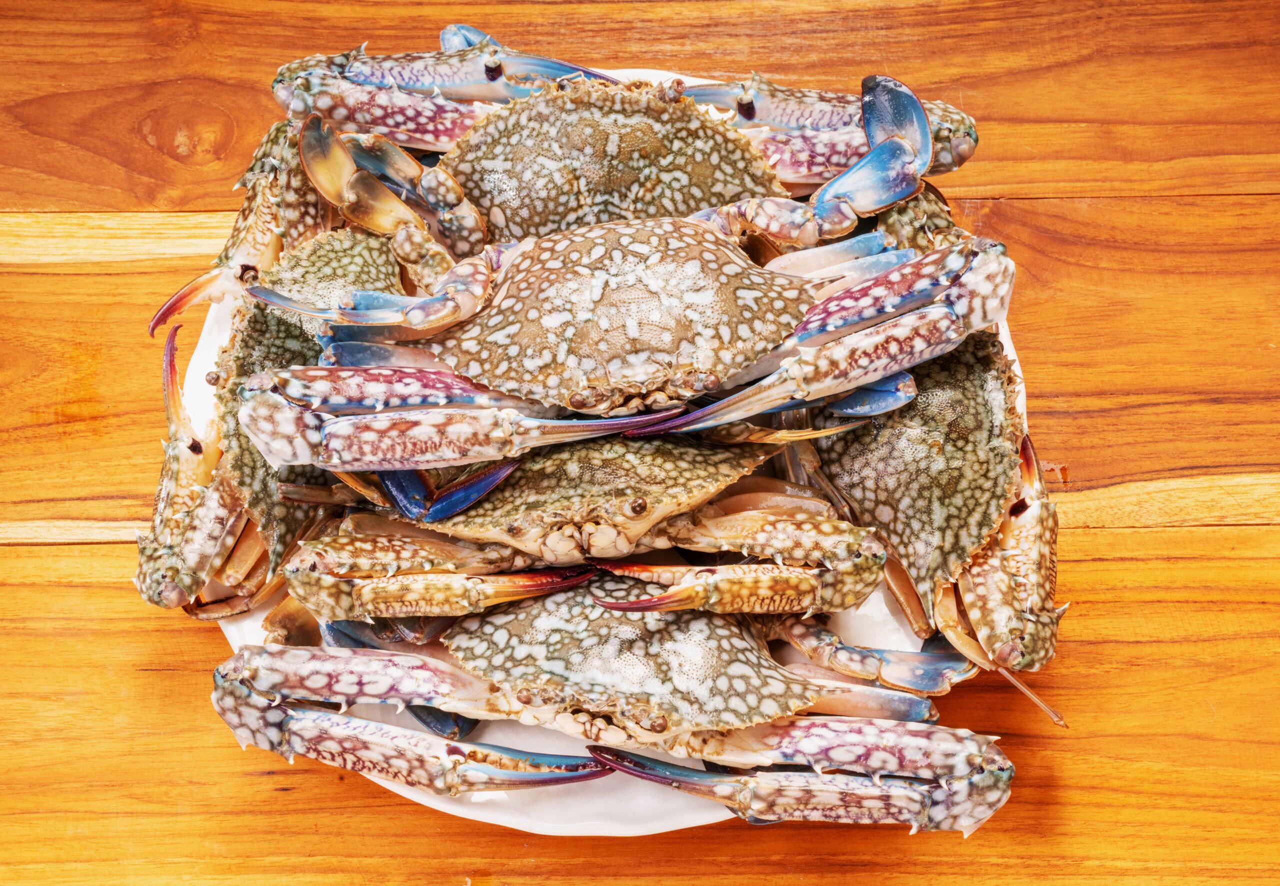 Seasonal Changes That Affect the Taste of Maryland Blue Crabs
