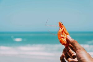 Texas Gulf Shrimp The Premium Choice for Fresh Seafood Lovers in Baltimore
